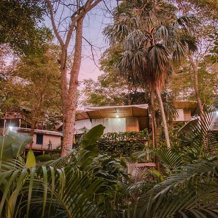 Serrano Tayrona Lodge 엘 자이노 외부 사진