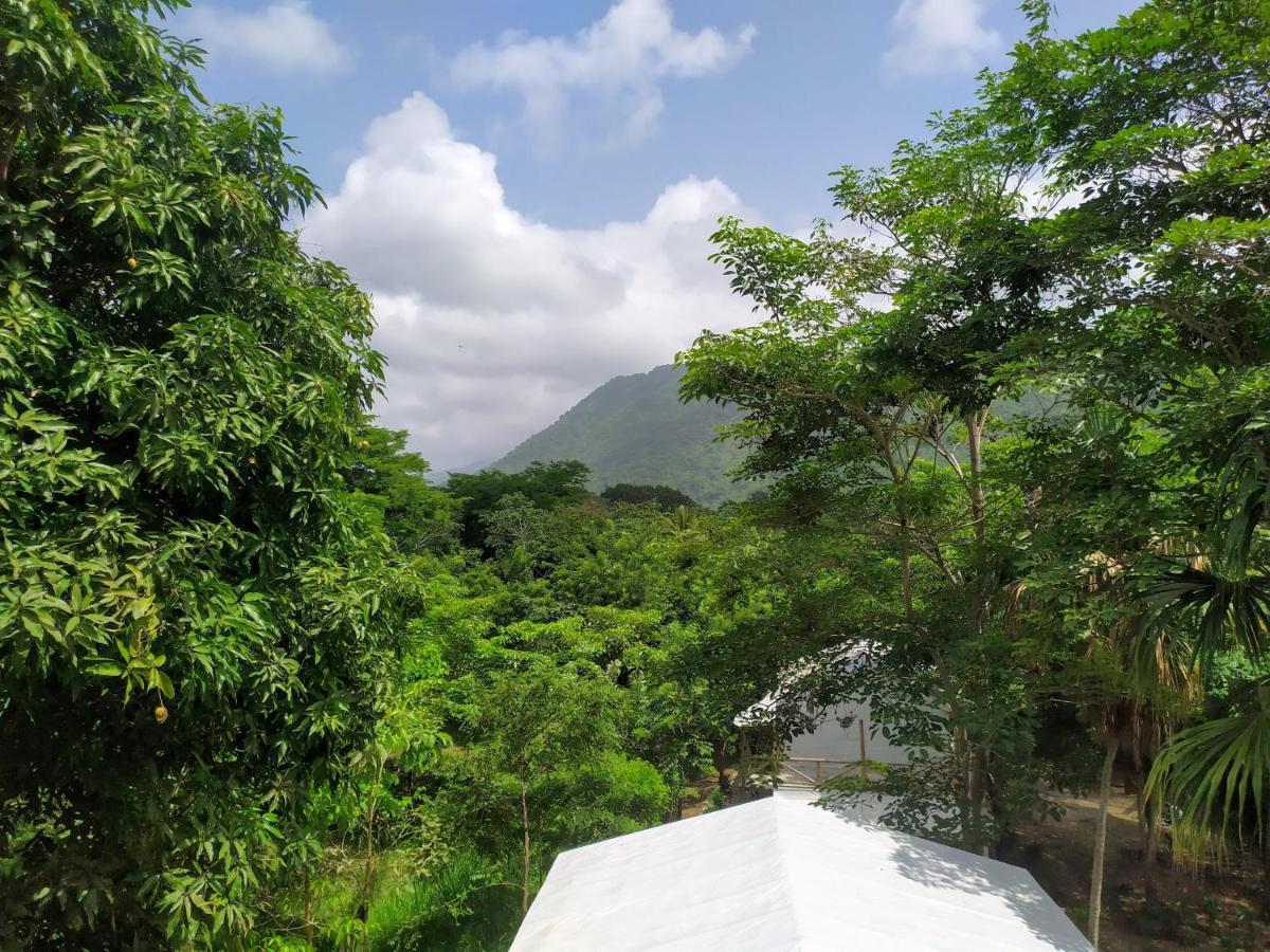 Serrano Tayrona Lodge 엘 자이노 외부 사진