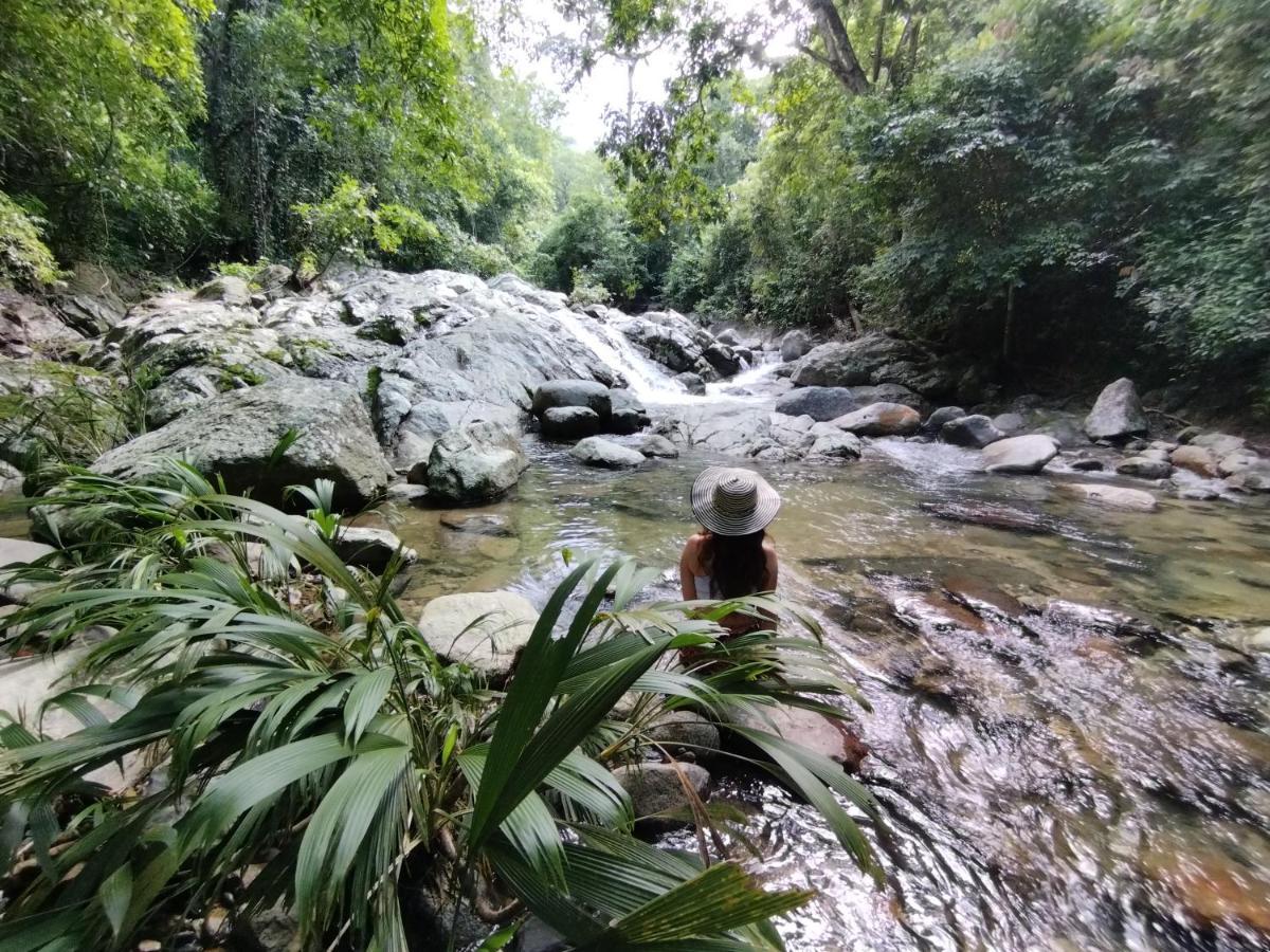 Serrano Tayrona Lodge 엘 자이노 외부 사진