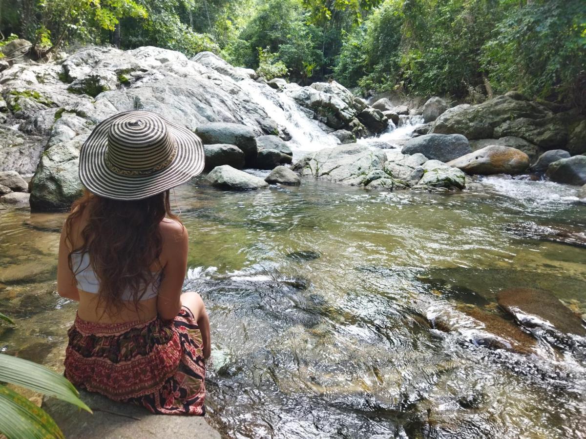 Serrano Tayrona Lodge 엘 자이노 외부 사진
