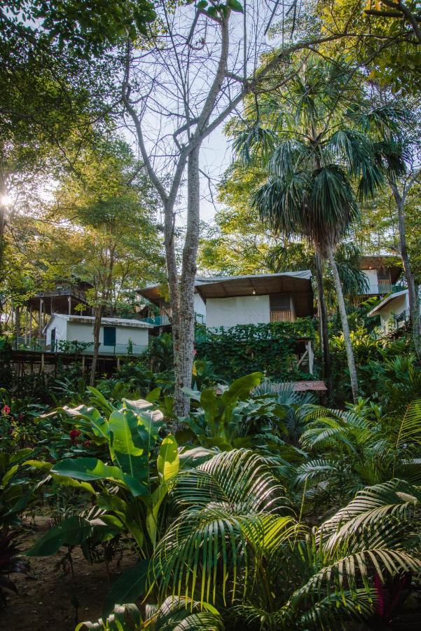 Serrano Tayrona Lodge 엘 자이노 외부 사진
