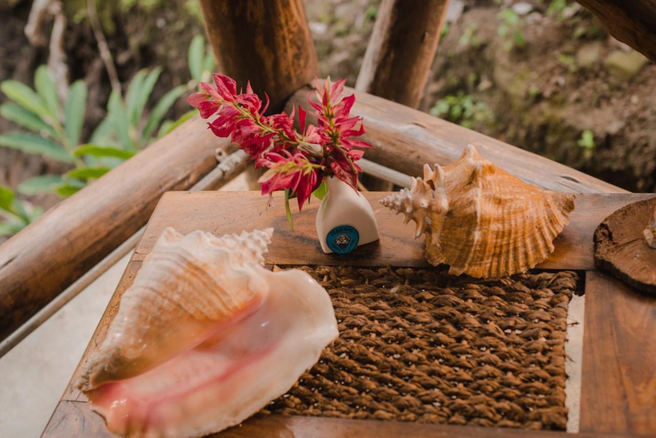 Serrano Tayrona Lodge 엘 자이노 외부 사진