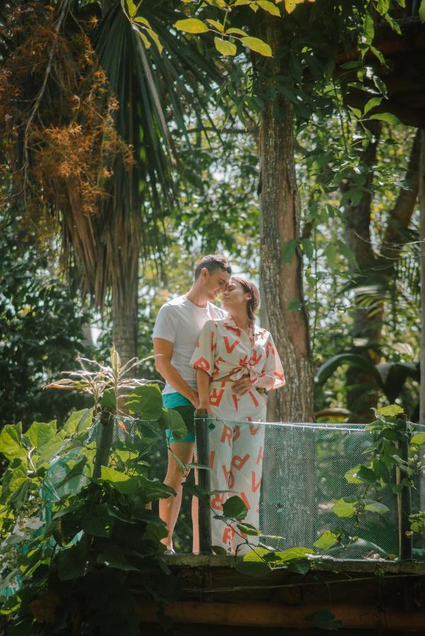 Serrano Tayrona Lodge 엘 자이노 외부 사진