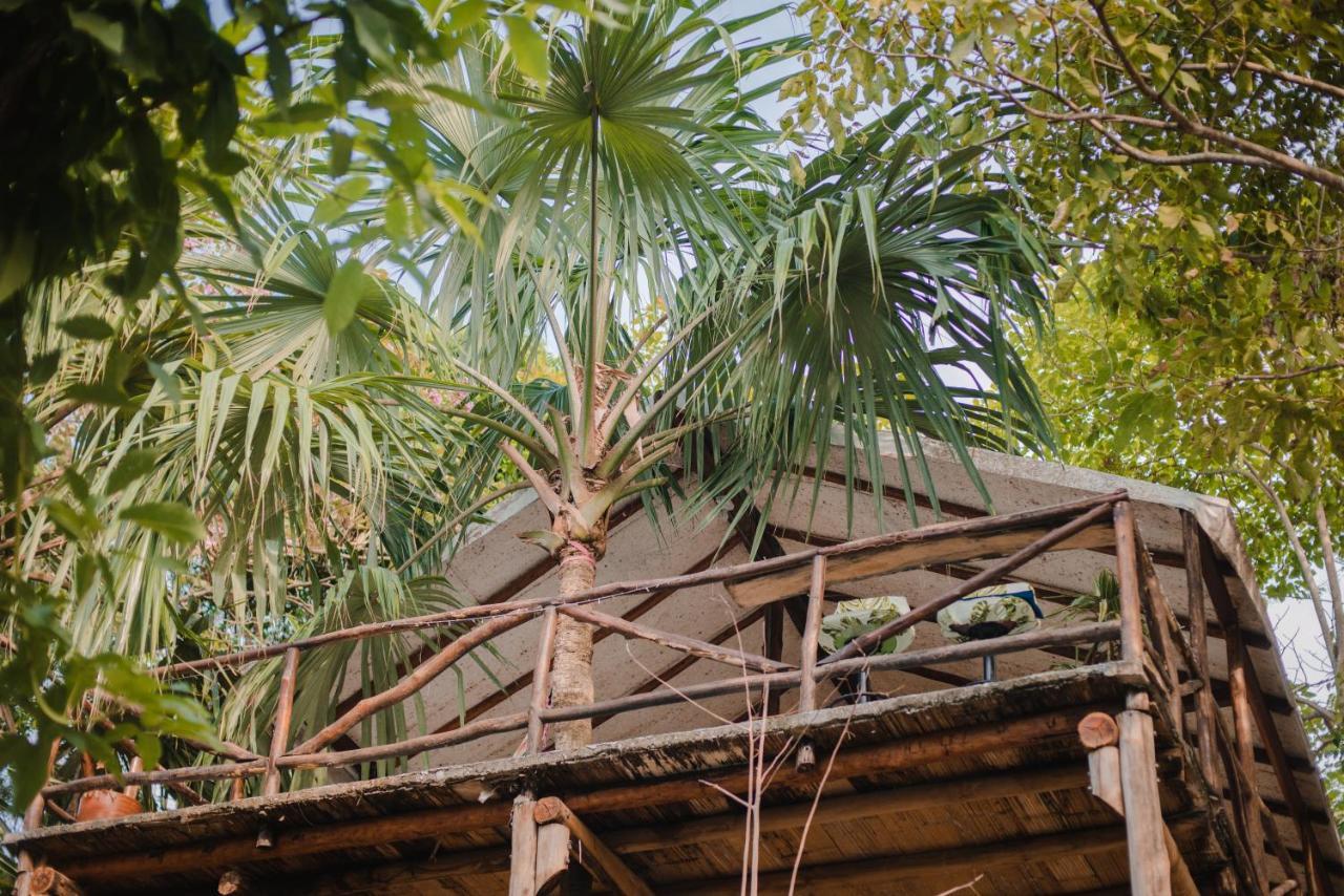 Serrano Tayrona Lodge 엘 자이노 외부 사진