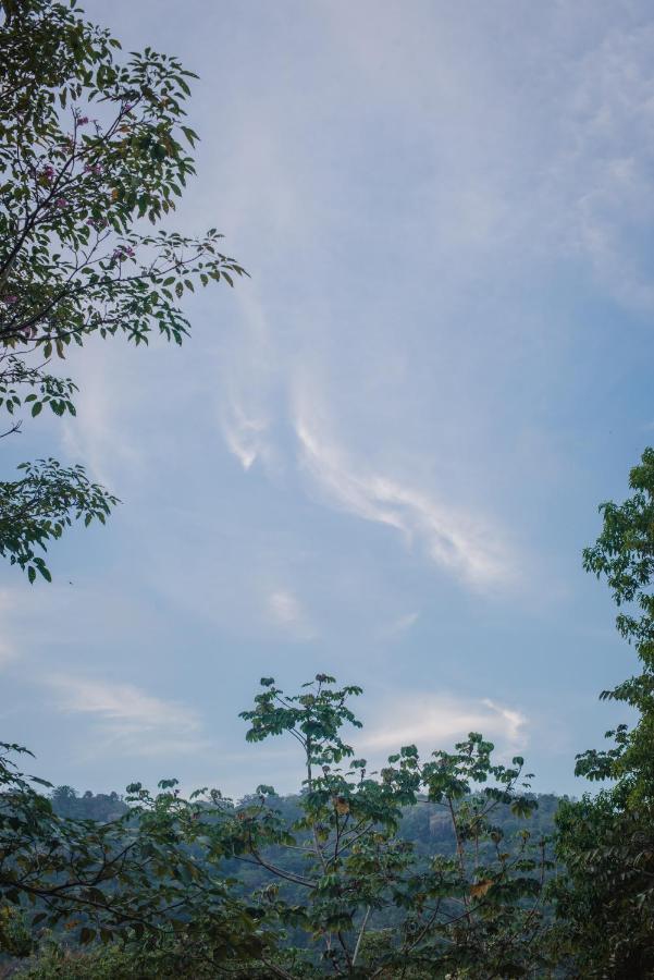 Serrano Tayrona Lodge 엘 자이노 외부 사진