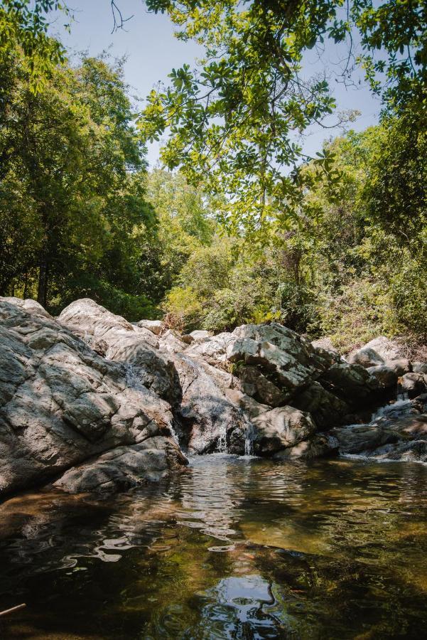 Serrano Tayrona Lodge 엘 자이노 외부 사진