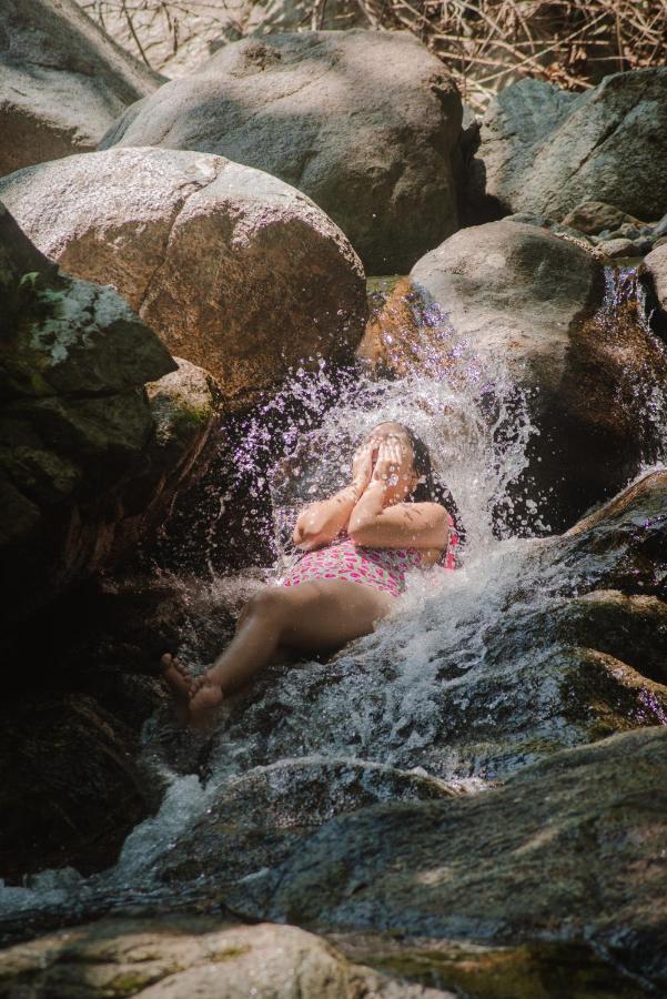 Serrano Tayrona Lodge 엘 자이노 외부 사진